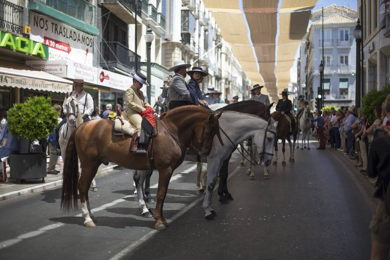 Comienza la Romería del Rocío