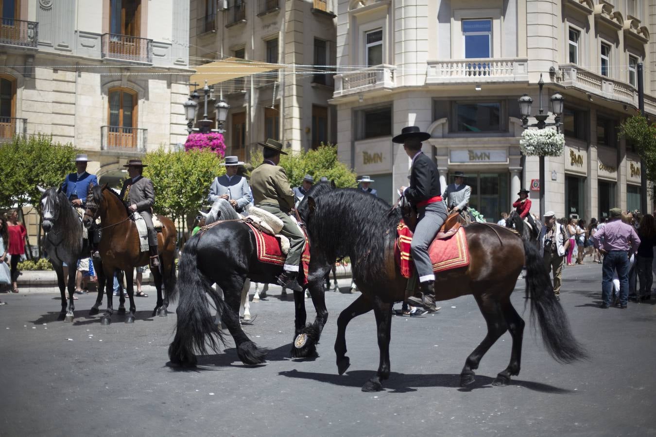 Comienza la Romería del Rocío