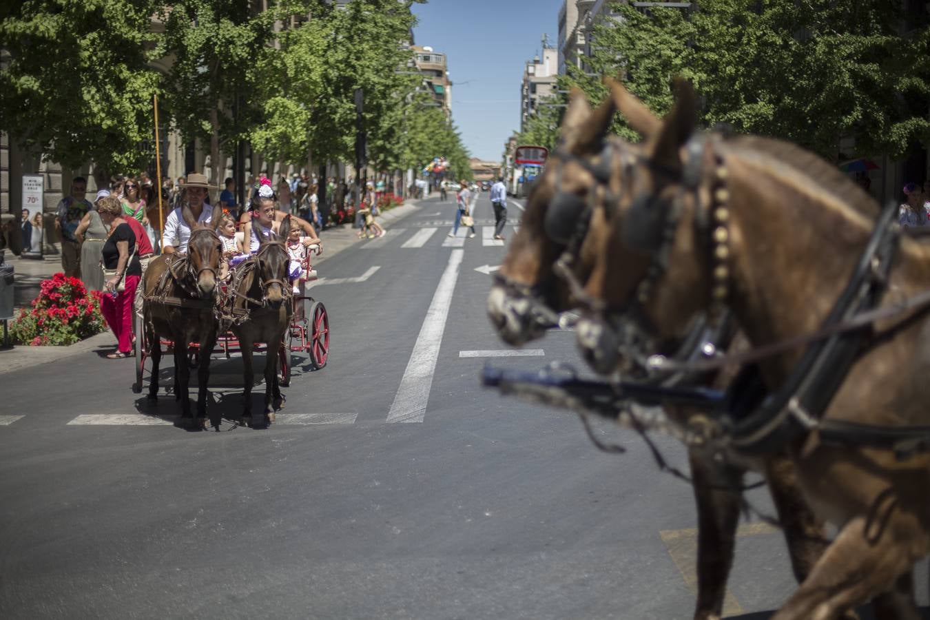 Comienza la Romería del Rocío