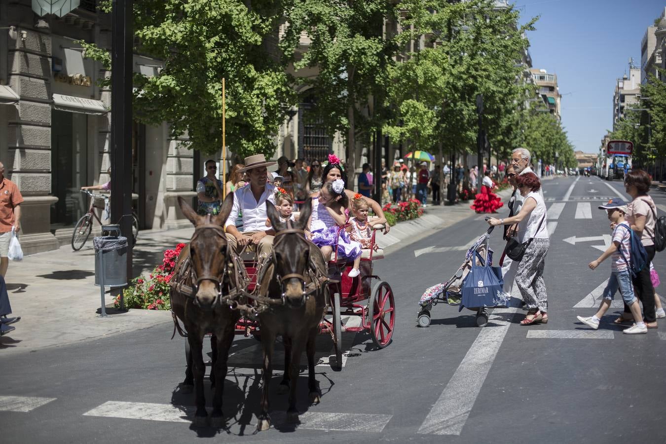 Comienza la Romería del Rocío