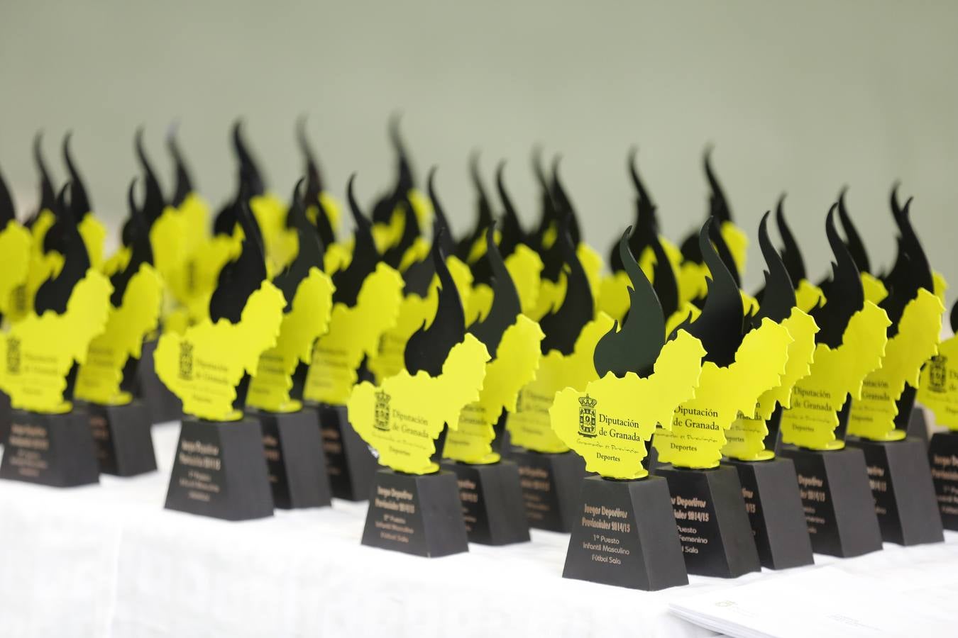 Gala en el Pabellón Diputación