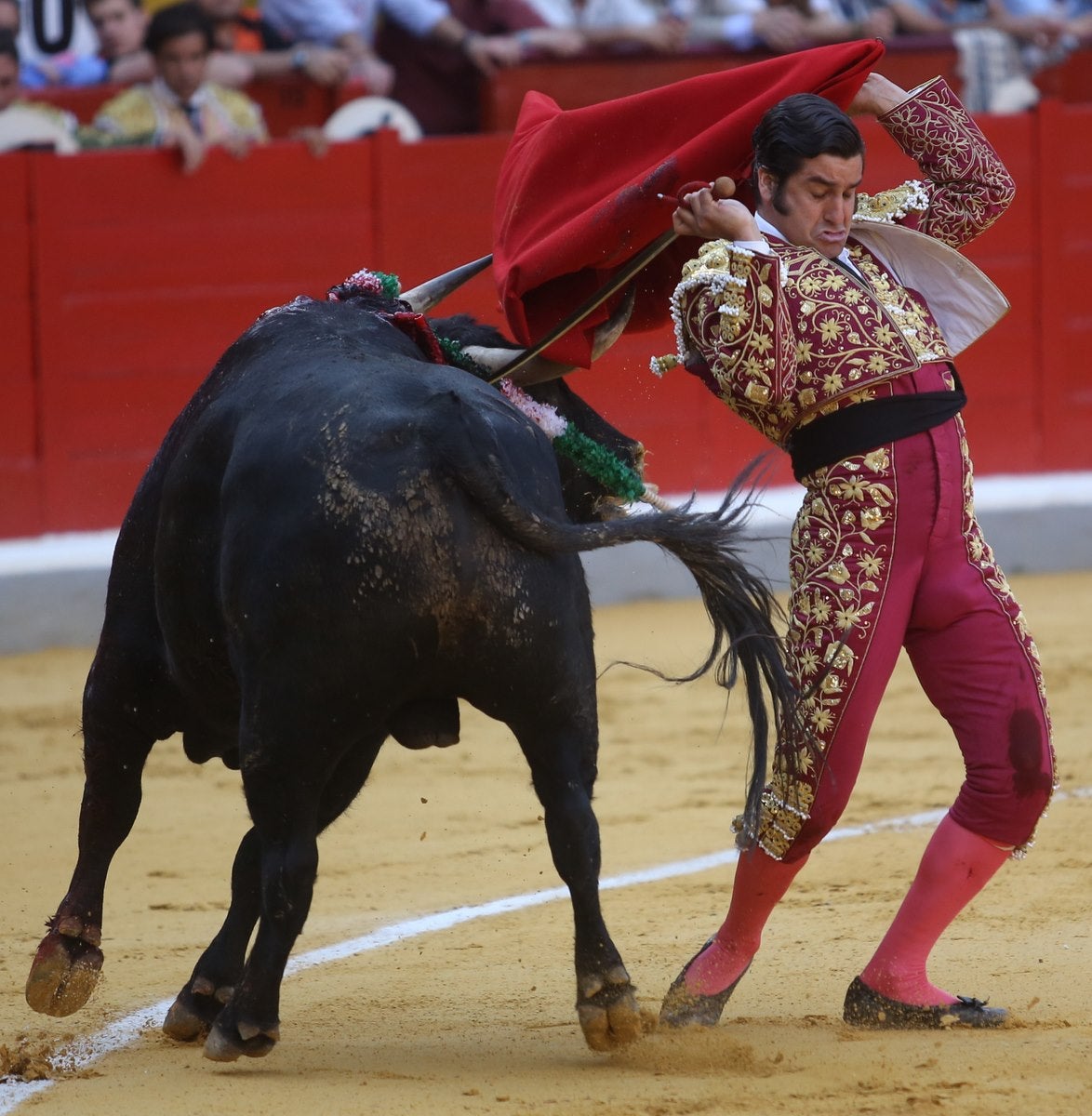 Triunfos de Morante y Talavante y Manzanares, que cae herido, en Granada