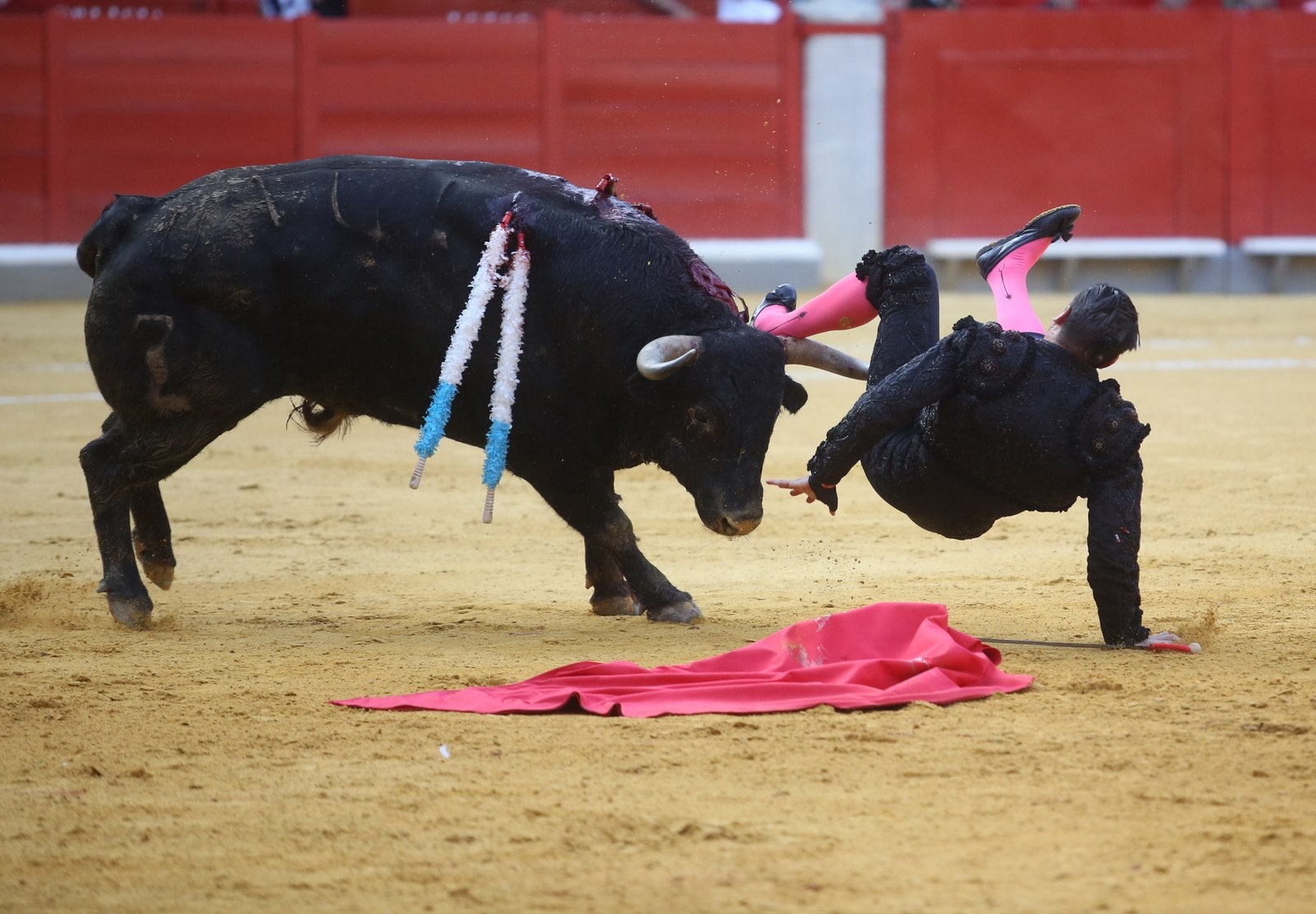 Triunfos de Morante y Talavante y Manzanares, que cae herido, en Granada