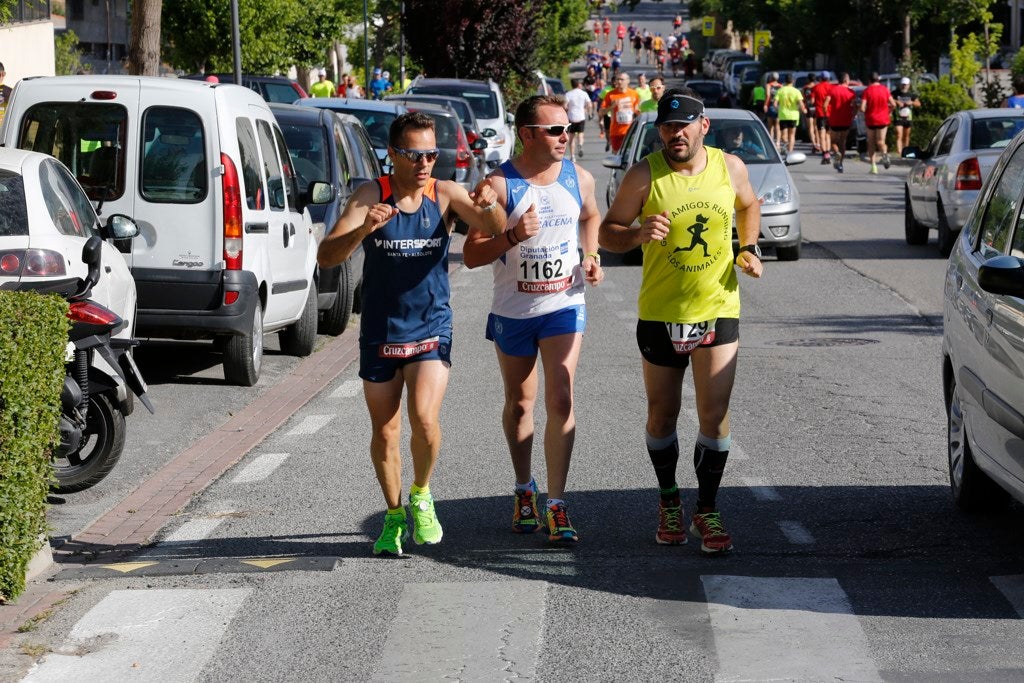 Ambiente en la ruta Bobadil de Dúrcal