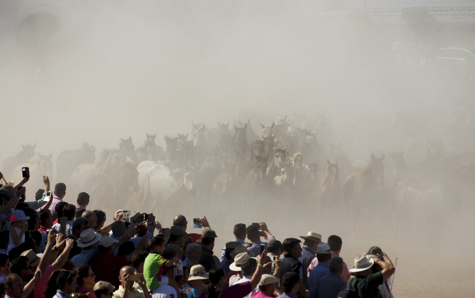 La gente ve como yeguas salvajes en el santuario de El Rocío durante el evento "Saca de yeguas" en El Rocío, en Almonte, el sur de España.