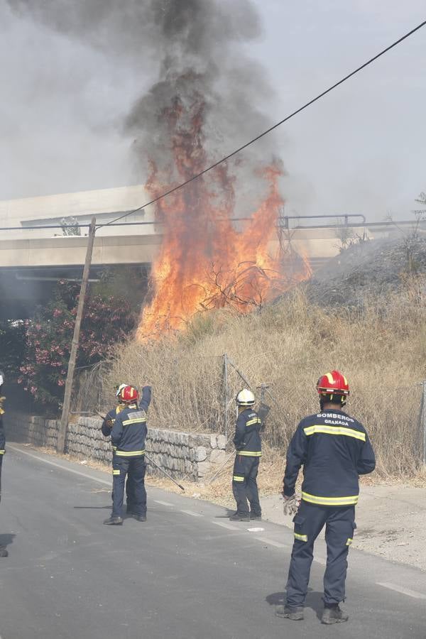 Controlado el incendio de la Circunvalación y parque Tico Medina