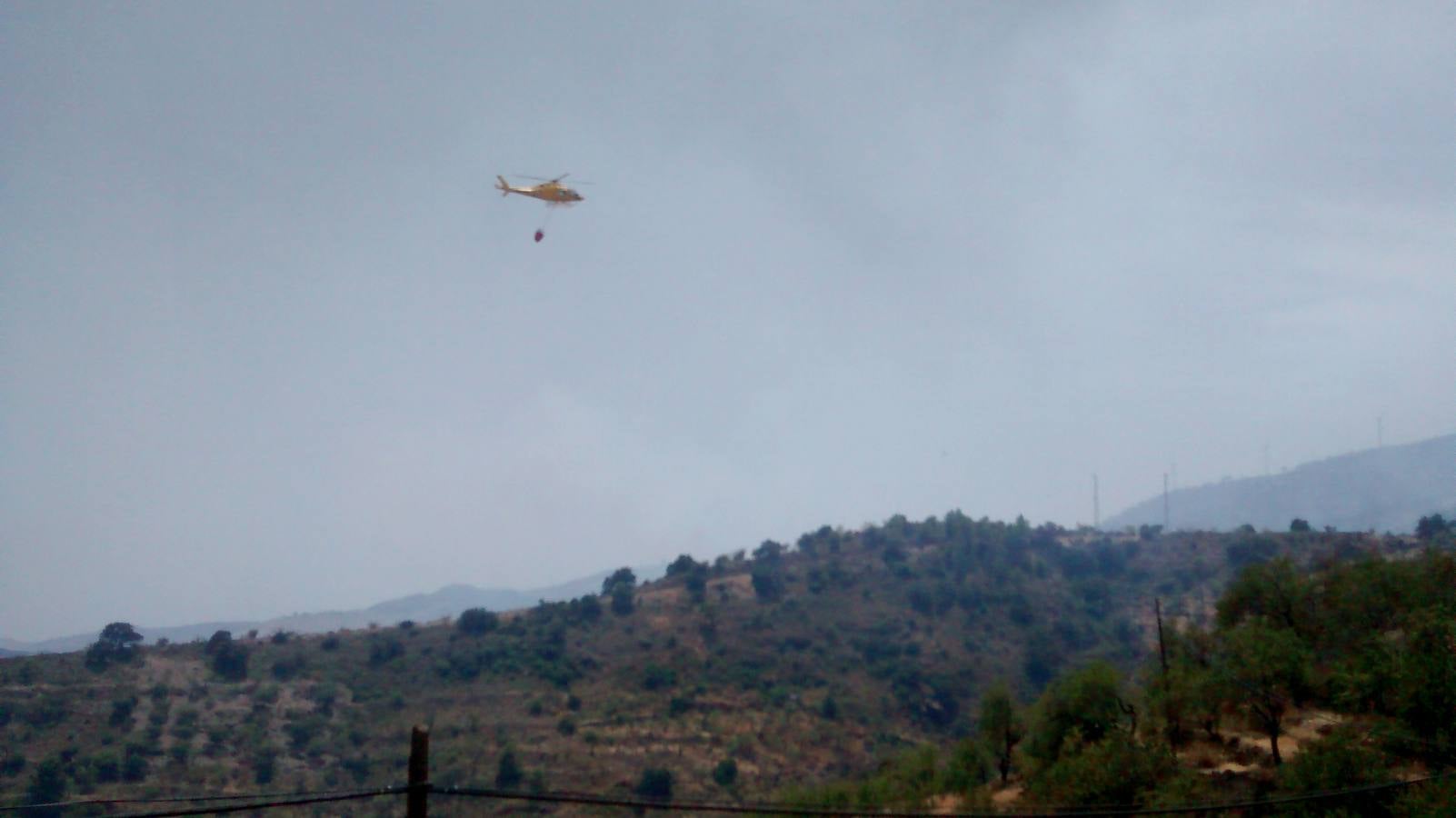 Alerta por un incendio forestal en Gualchos
