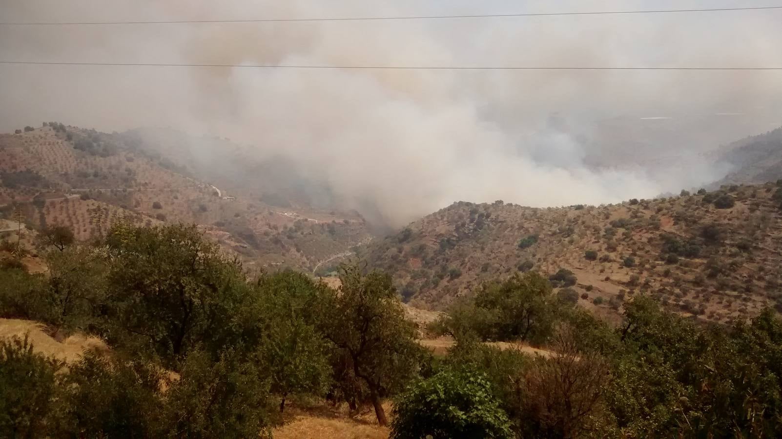 Alerta por un incendio forestal en Gualchos