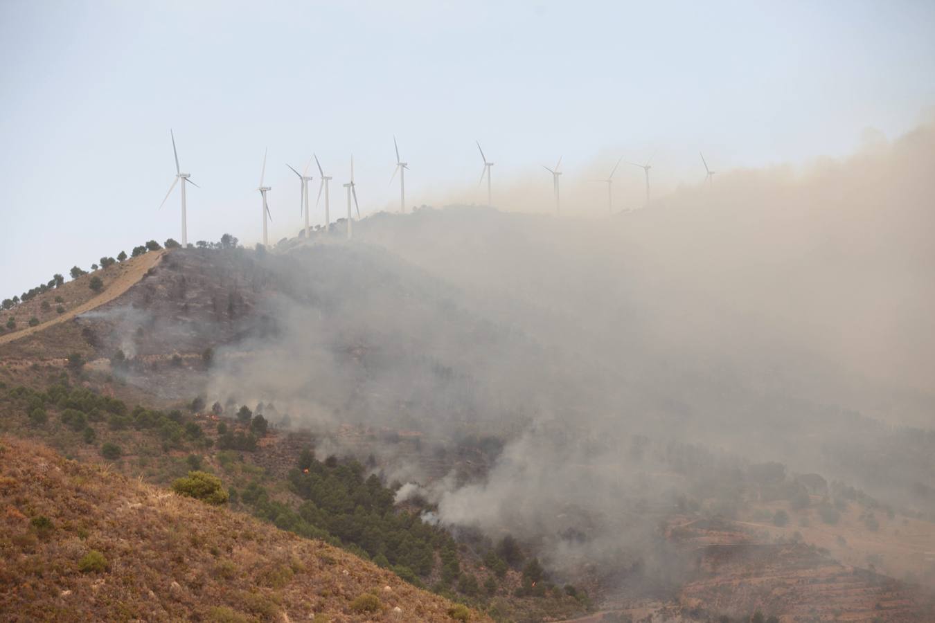 Alerta por un incendio forestal en Gualchos