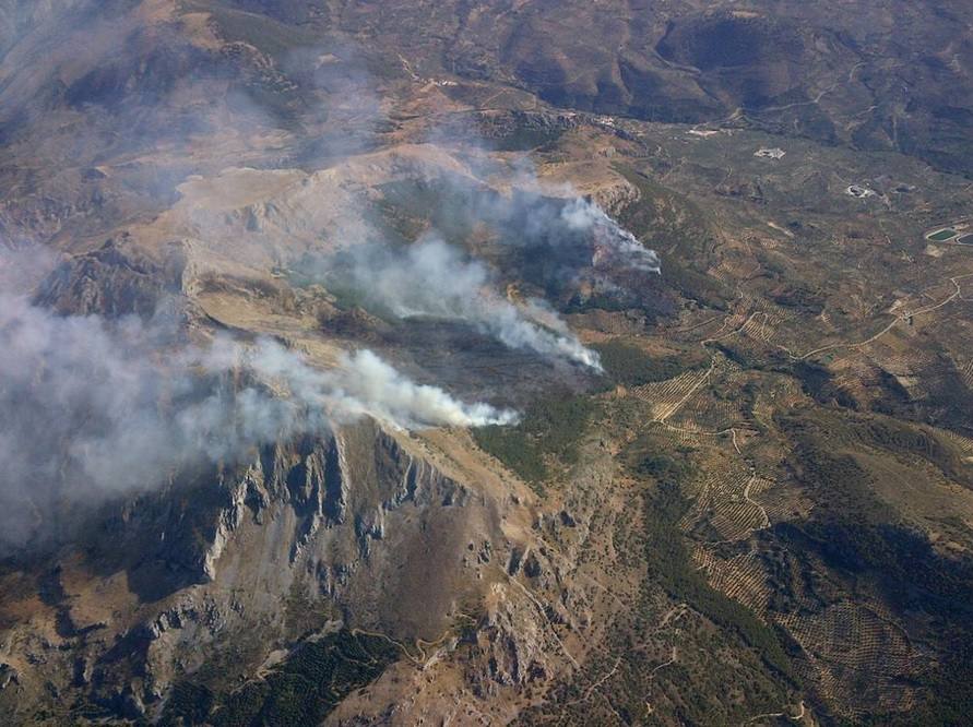 Un incendio con más de un foco calcina pinares y olivos en el monte Aznaitín