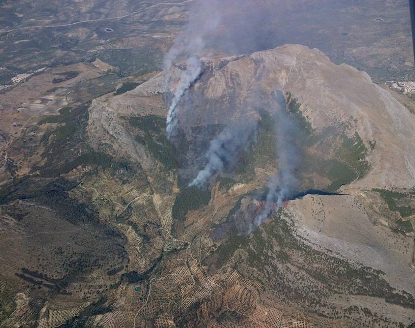 Un incendio con más de un foco calcina pinares y olivos en el monte Aznaitín