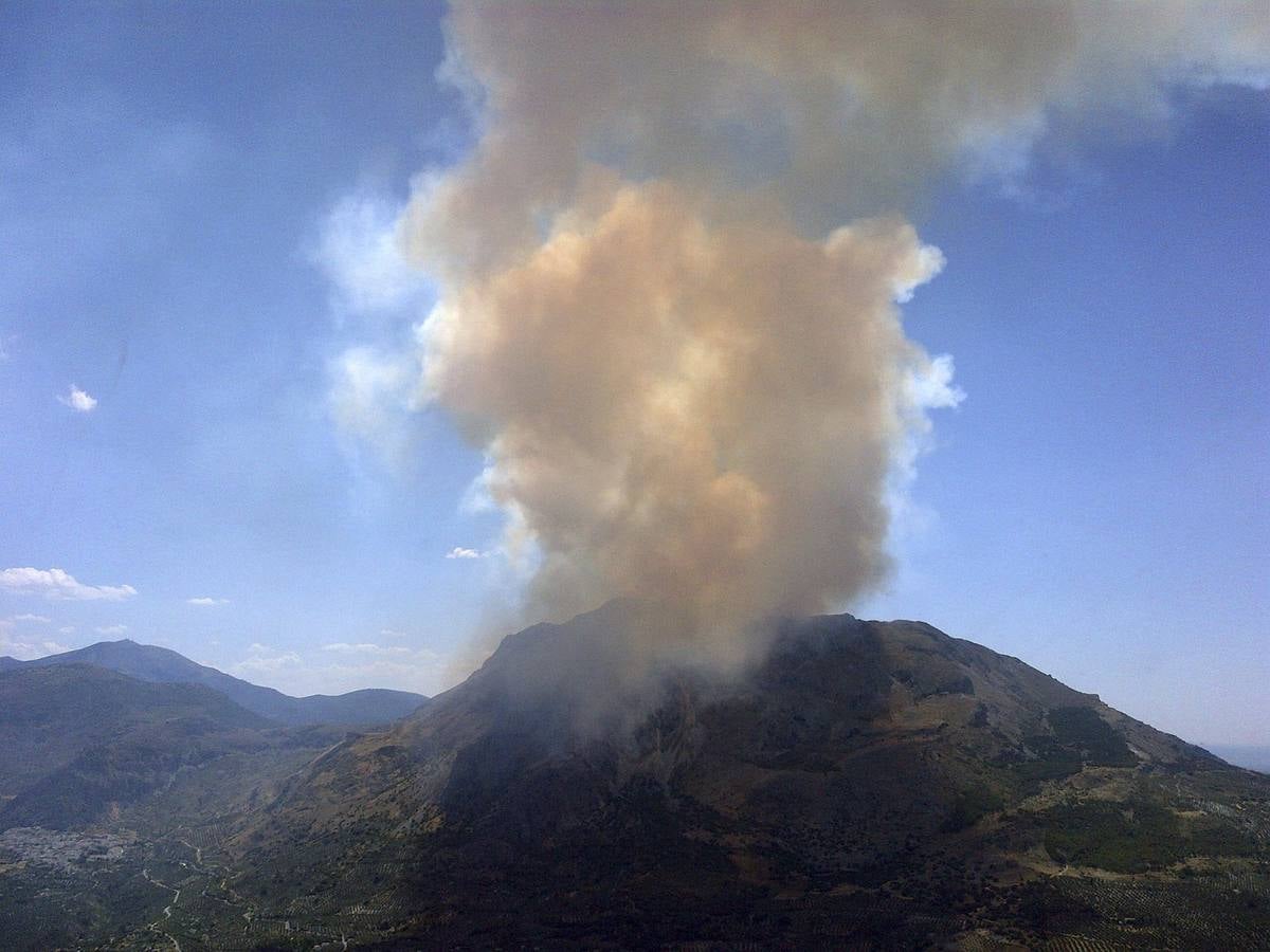 Un incendio con más de un foco calcina pinares y olivos en el monte Aznaitín