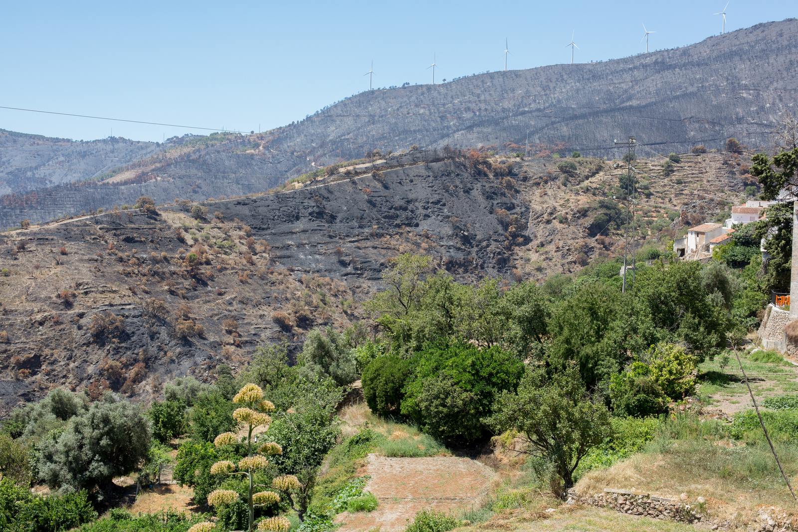 Lújar recupera la sonrisa