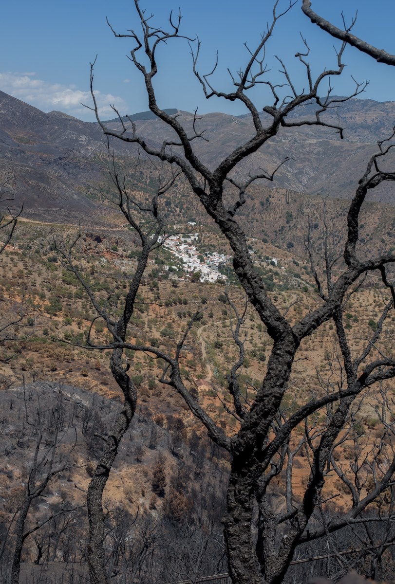 Lújar recupera la sonrisa