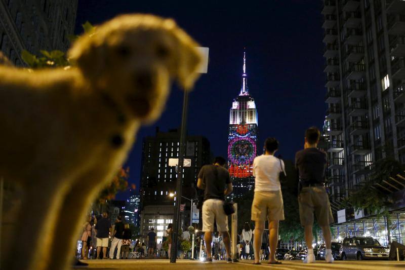El Empire State brilla proyectando imágenes de animales en peligro de extinción