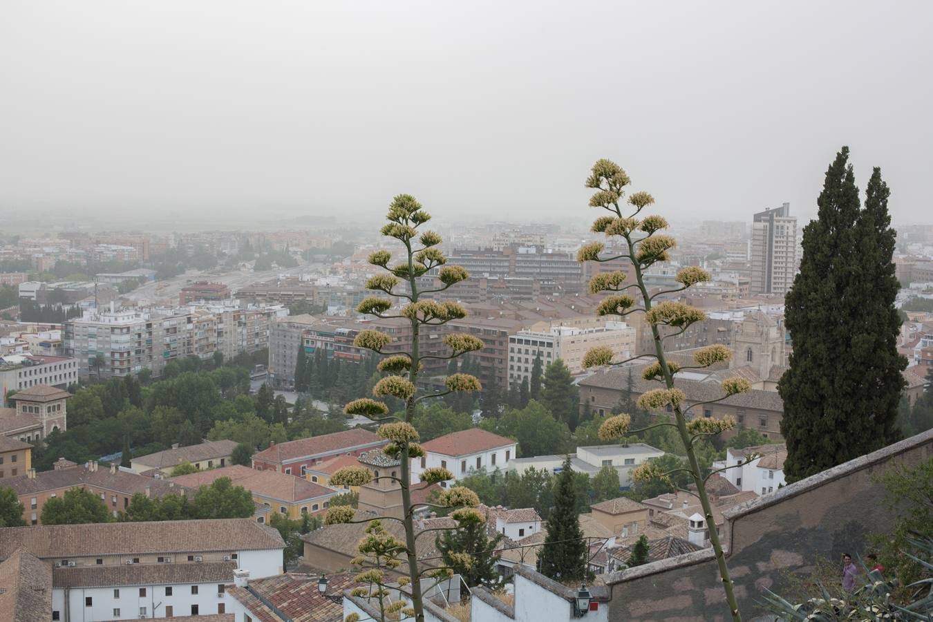Vista de Granada con el polvo en suspensión
