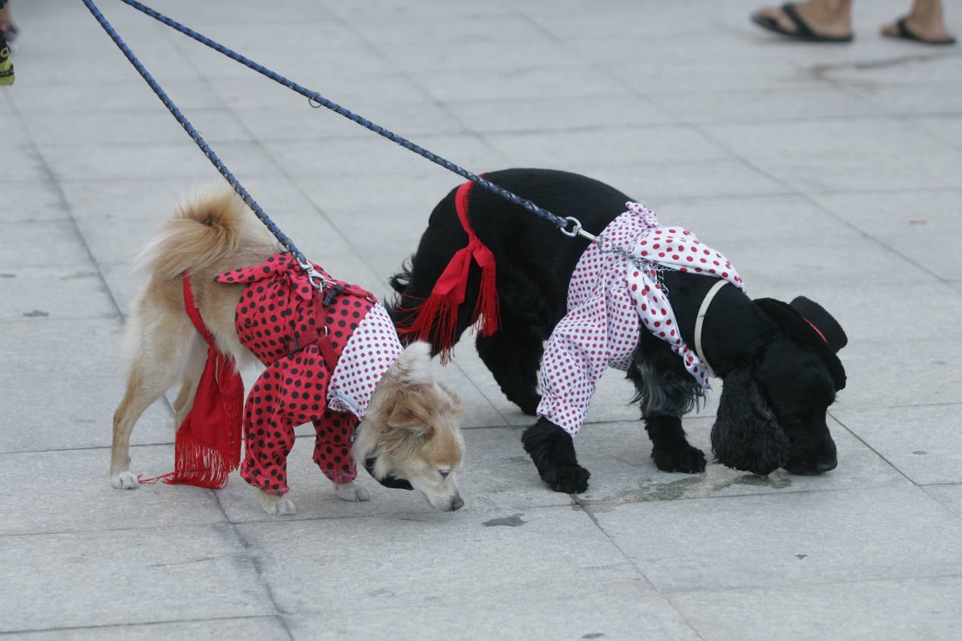 Los mil ladridos de la Feria más canina