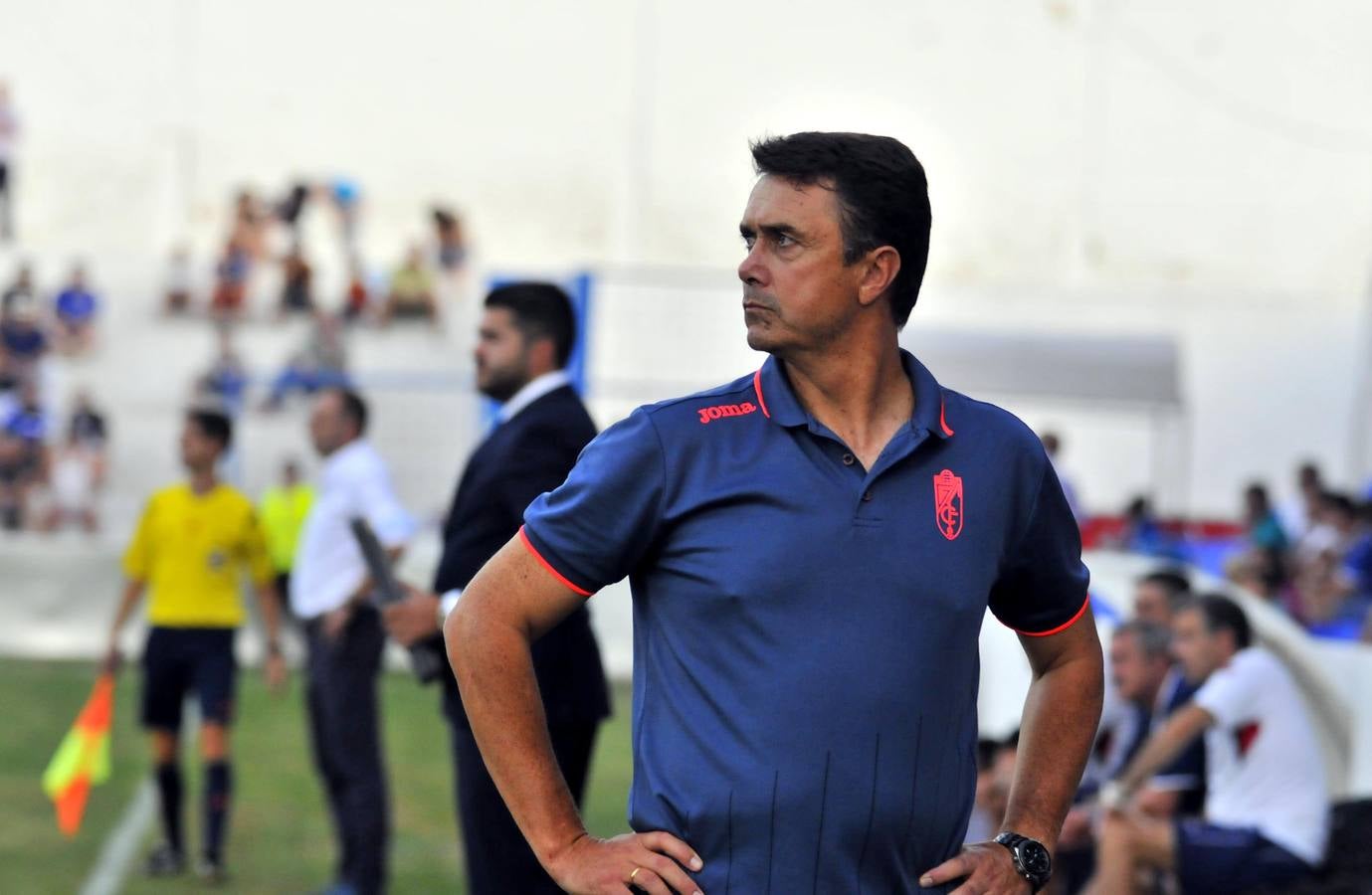 La fiesta, fuera de Linarejos