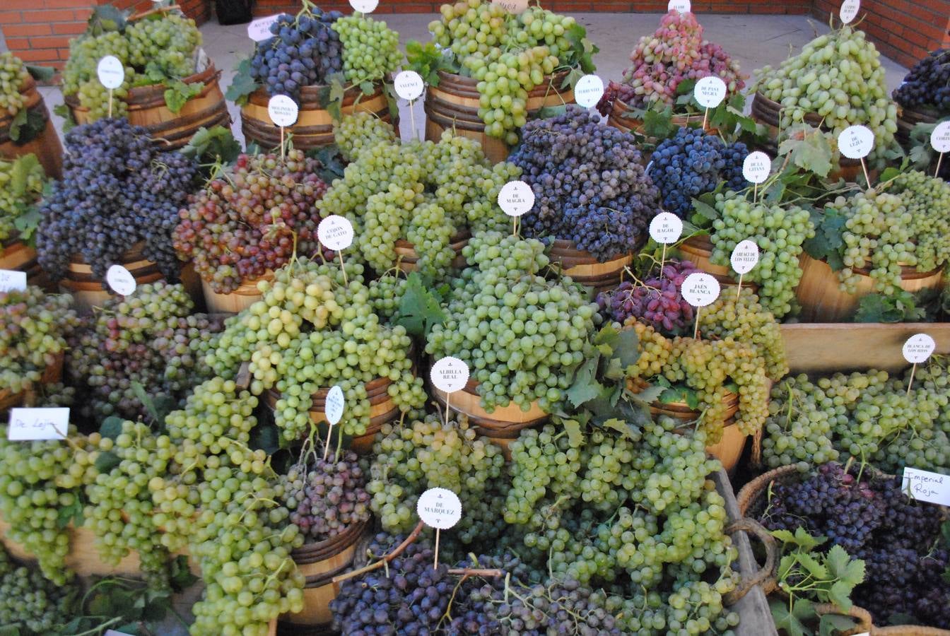 Días de vino y barcos