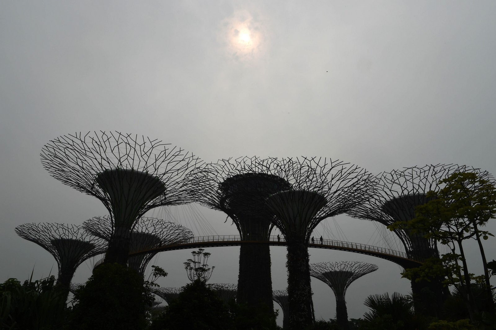 El sol se ve a través de un manto de neblina en un jardín junto a la bahía en Singapur.