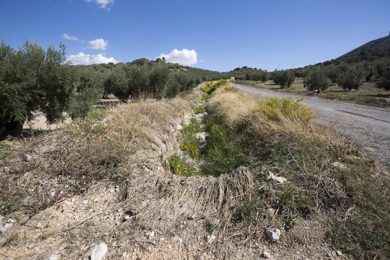 Puerto Lope. La ruta rural hacia Moclín cuenta con un cauce que no llega al medio metro de profundidad. El agua se desborda hacia la carretera cuando llueve.