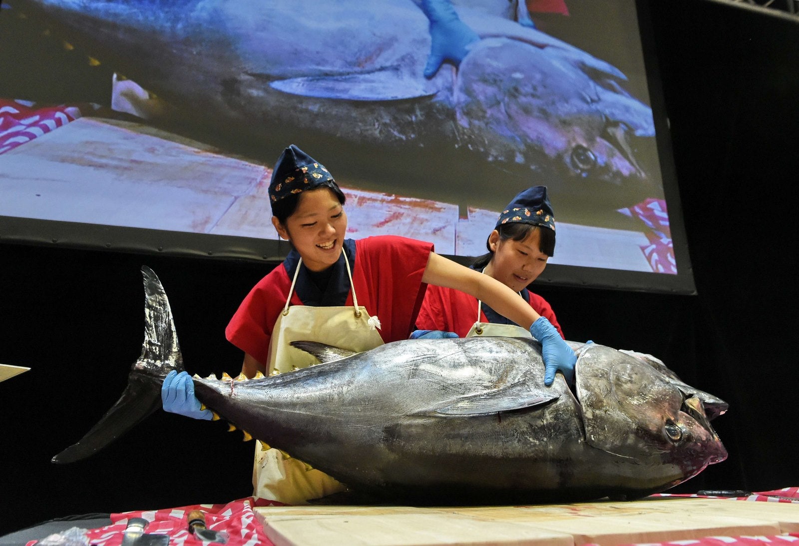 Dos expertas culinarios japonesas se preparan para cortar un atún de 60 kilos, durante una exposición en Singapur.