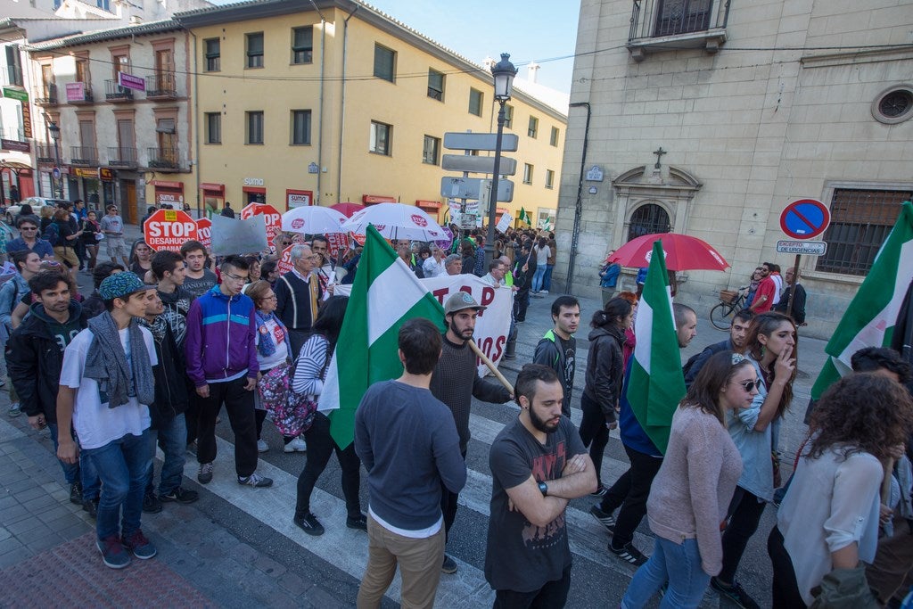 Un millar de estudiantes protestan en el centro de Granada contra la Lomce