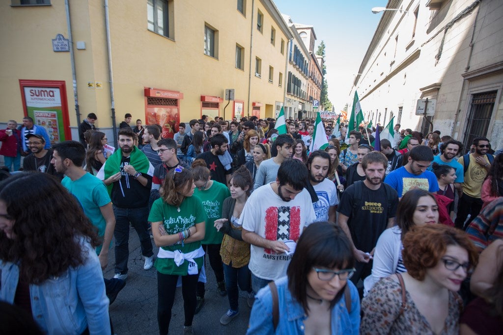 Un millar de estudiantes protestan en el centro de Granada contra la Lomce