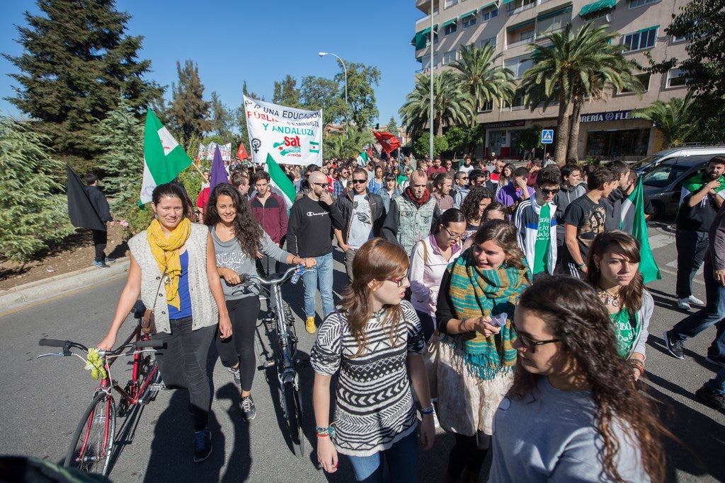 Un millar de estudiantes protestan en el centro de Granada contra la Lomce