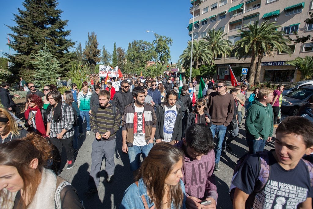 Un millar de estudiantes protestan en el centro de Granada contra la Lomce