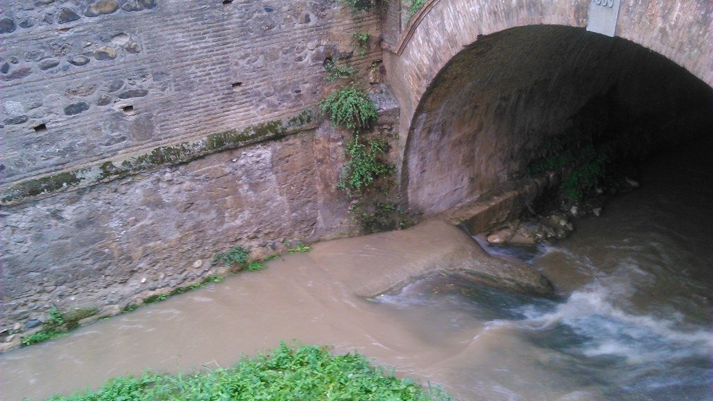 Llueve a gusto de todos