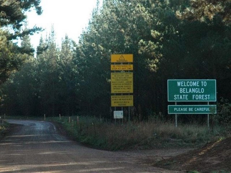 Bosque de Belanglo ('Wolf Creek'). 