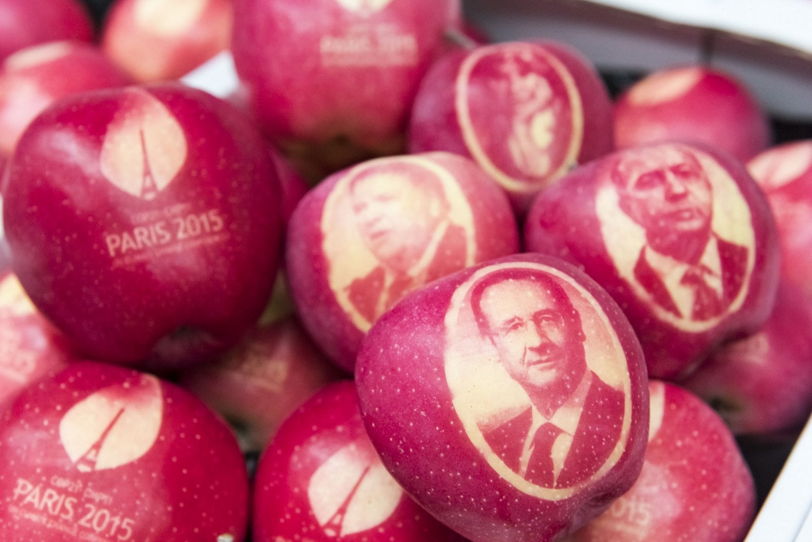 Manzanas marcadas con los retratos del presidente francés, Francois Hollande y el ministro de Relaciones Exteriores francés, Laurent Fabius.