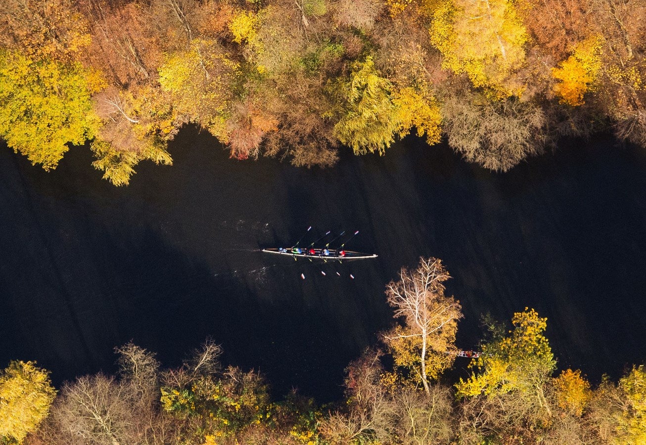 Un barco de remo pasa entre los árboles con colores otoñales en un canal de agua en Hamburgo, norte de Alemania.