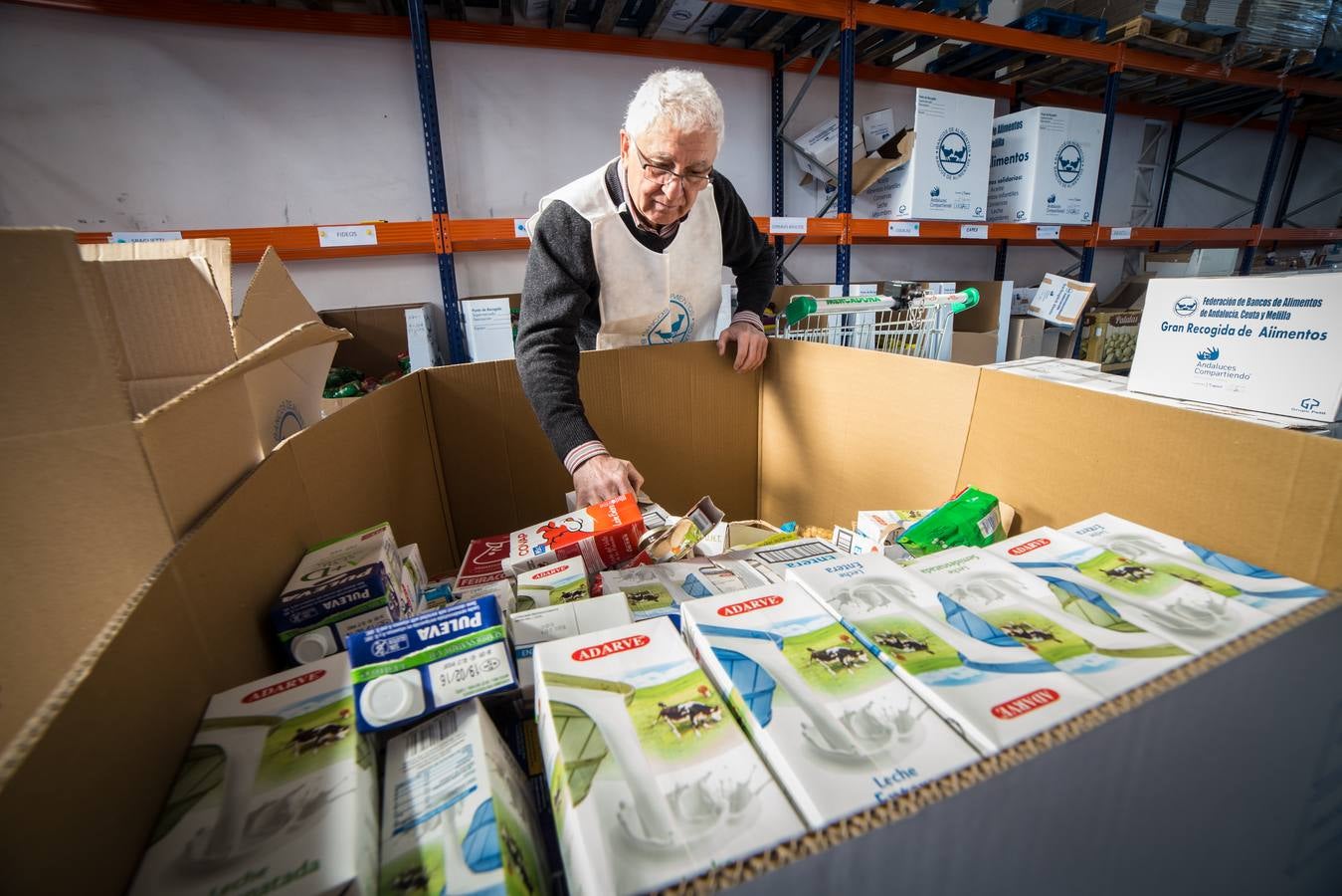 Jaén se volcó con la Gran Recogida