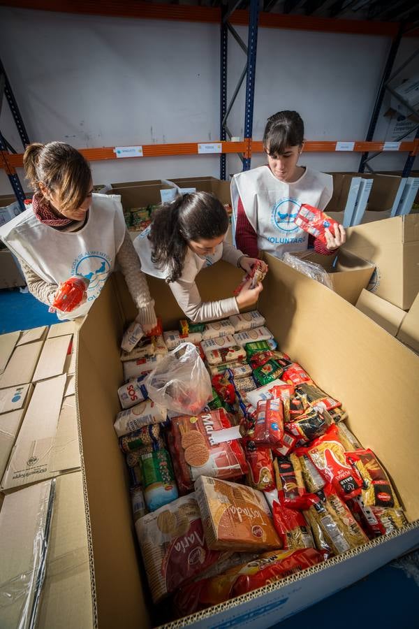 Jaén se volcó con la Gran Recogida