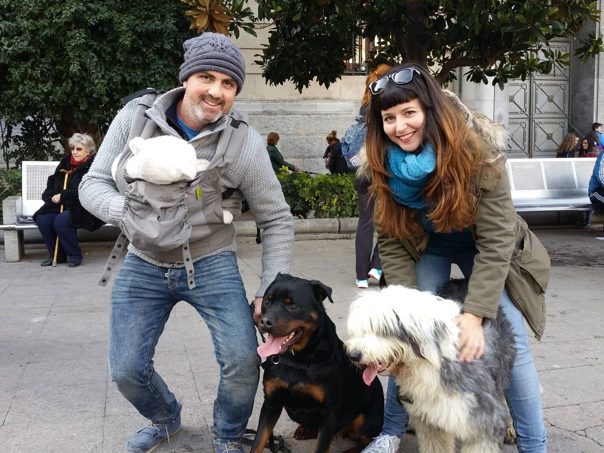 Más de 550 perros participan en la I Marcha Perrestre en defensa de la adopción