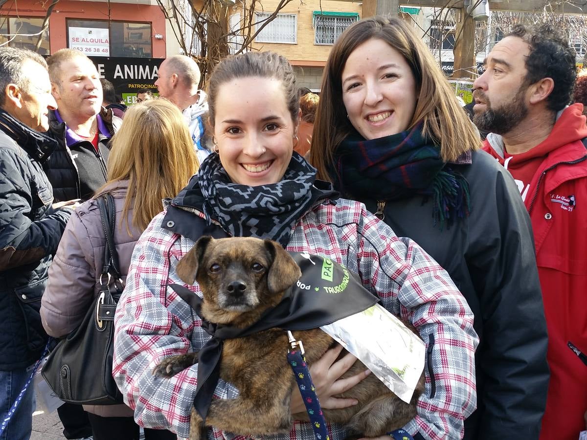 Más de 550 perros participan en la I Marcha Perrestre en defensa de la adopción