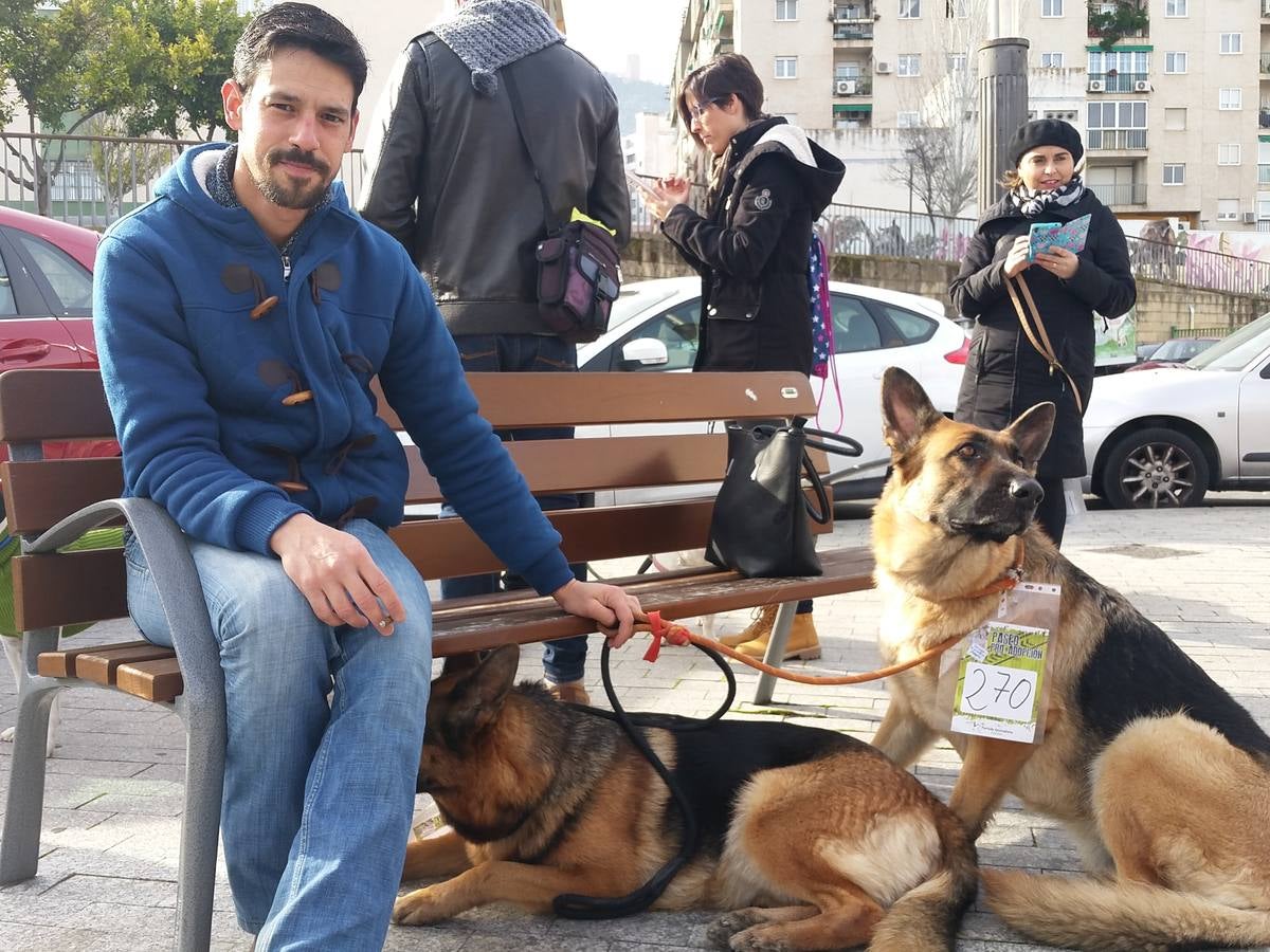 Más de 550 perros participan en la I Marcha Perrestre en defensa de la adopción