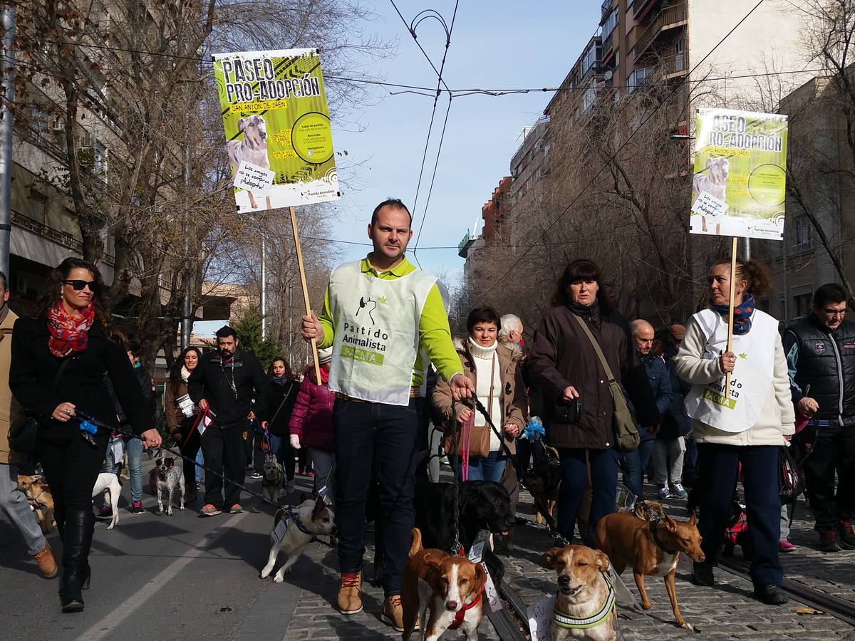 Más de 550 perros participan en la I Marcha Perrestre en defensa de la adopción