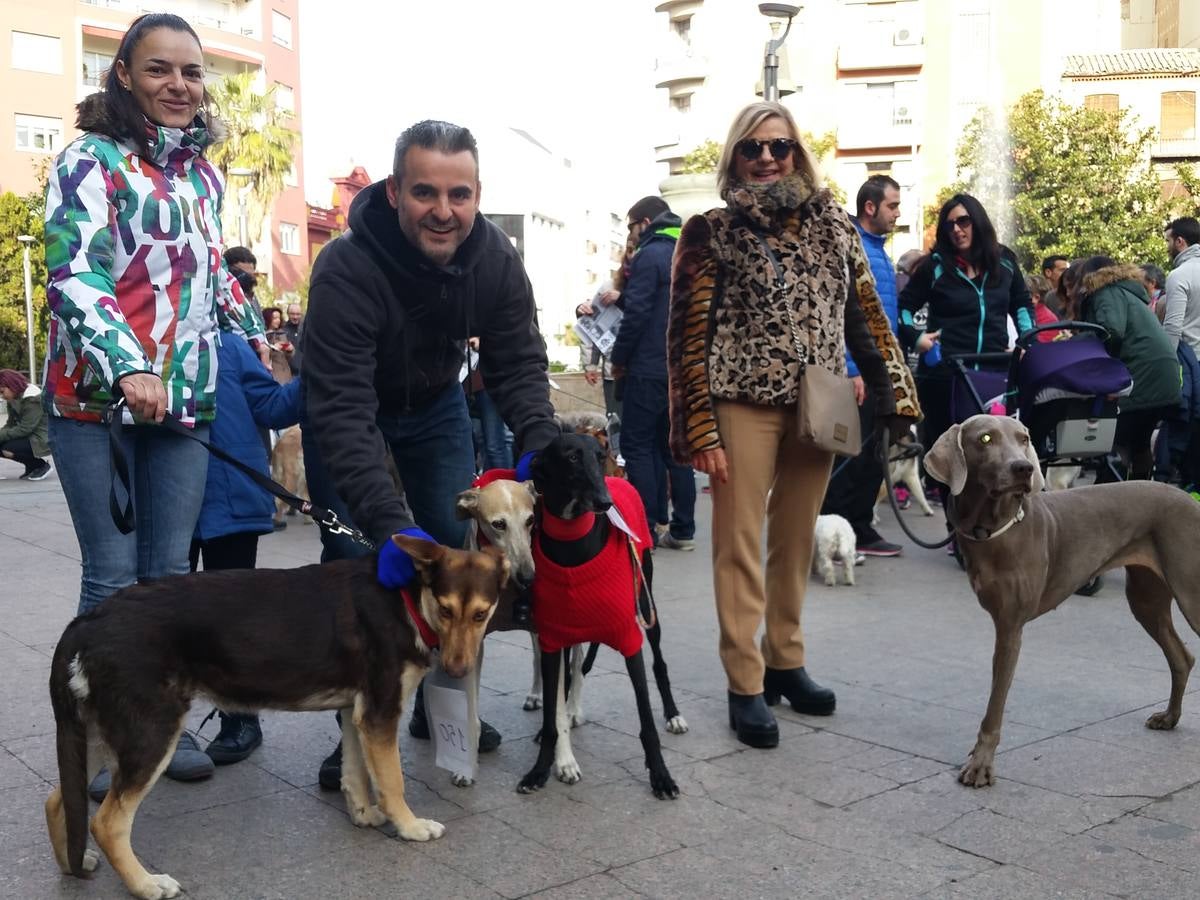 Más de 550 perros participan en la I Marcha Perrestre en defensa de la adopción