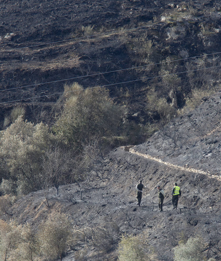 Desolación en la Alpujarra