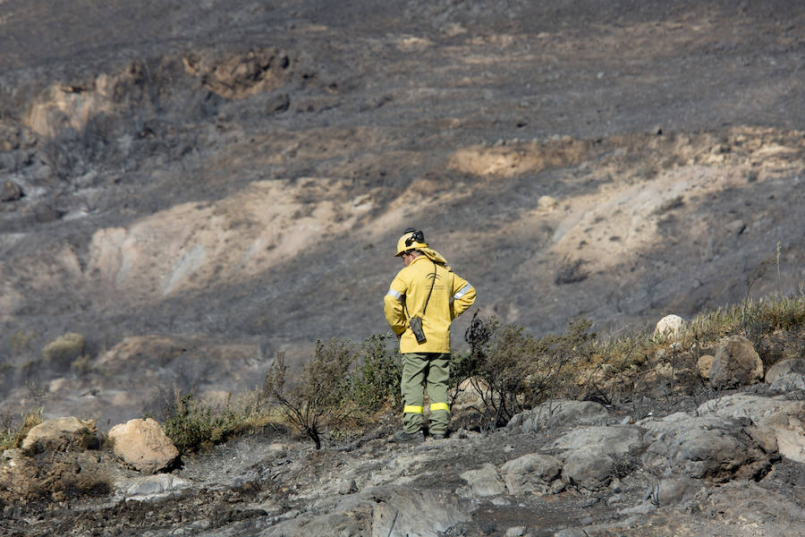 Desolación en la Alpujarra