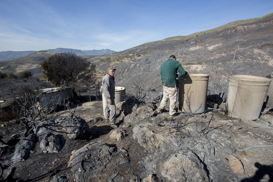 Desolación en la Alpujarra