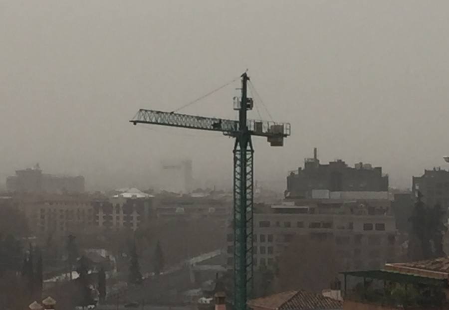 Foto enviada por Daniel Olivares. 