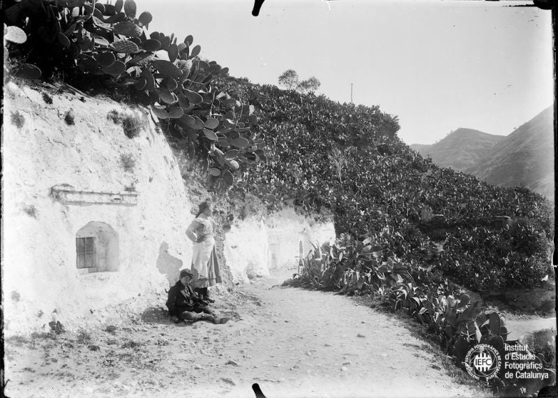 Granada en la Colección Thomas