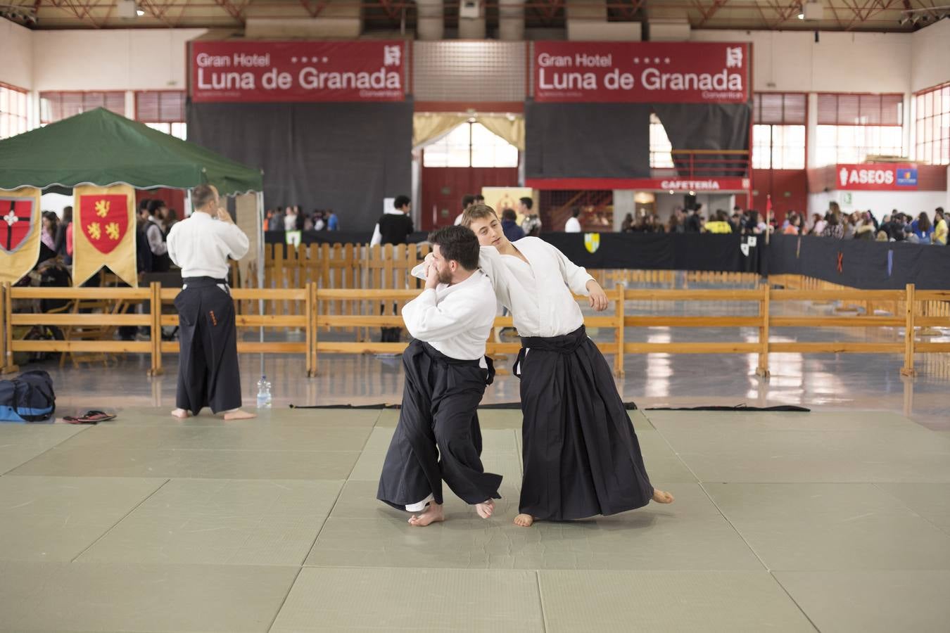 Clásicos de la fantasía oriental