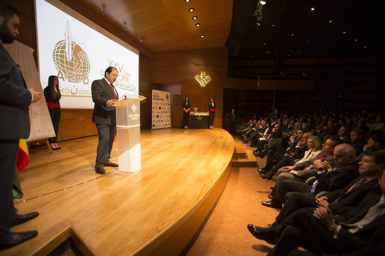 Engarces plateados para las coronas del deporte granadino