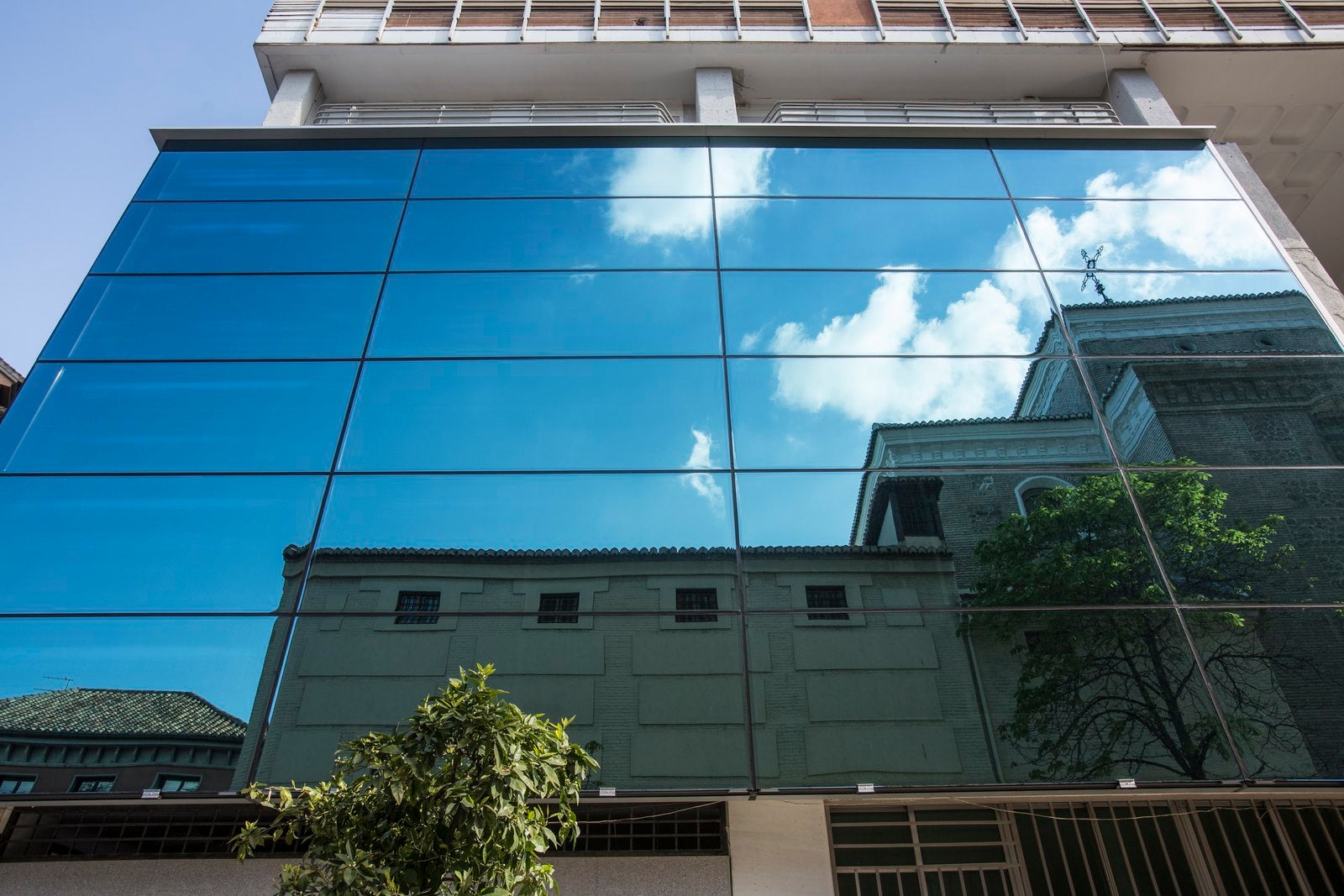 Isabel y Colón, ante el espejo