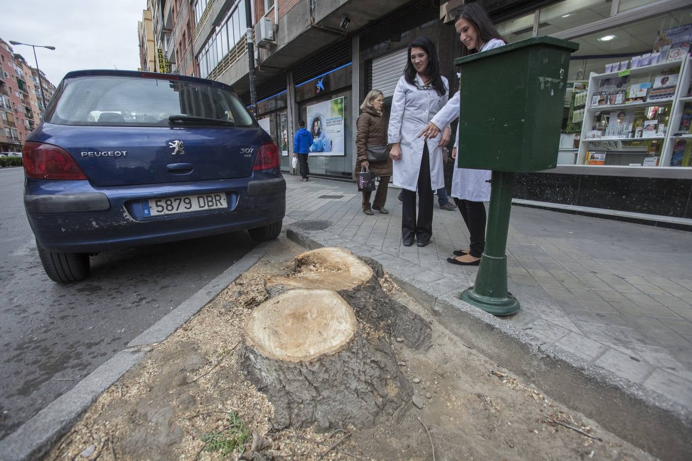 El Camino de Ronda quiere volver a ser verde